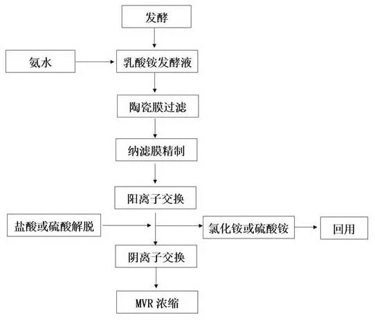 一种以蔗糖为原料发酵生产乳酸单体的方法